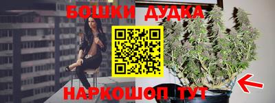 бошки Будённовск