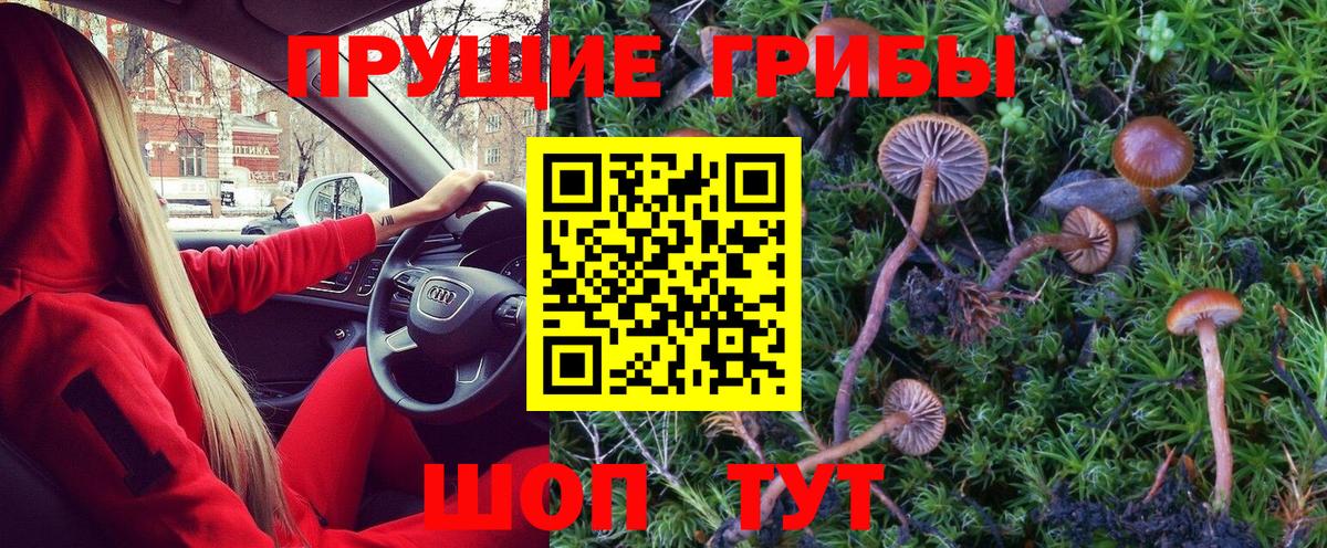 Галлюциногенные грибы Magic Shrooms  Вход с VPN  Мончегорск 