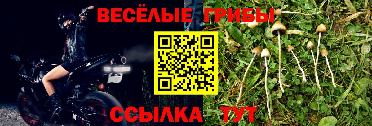 Галлюциногенные грибы MAGIC MUSHROOMS Мончегорск
